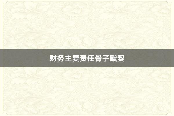财务主要责任骨子默契